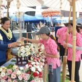 พิธี "สระเกล้าดำหัว ป้อเมืองฝาง " ประจำปี ๒๕๖๙