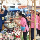 พิธี "สระเกล้าดำหัว ป้อเมืองฝาง " ประจำปี ๒๕๖๙