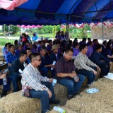 รณรงค์ไถกลบพืชปุ๋ยสด(ปอเทือง) ในโครงการเมืองเกษตรสีเขียว