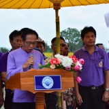 รณรงค์ไถกลบพืชปุ๋ยสด(ปอเทือง) ในโครงการเมืองเกษตรสีเขียว
