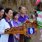 รณรงค์ไถกลบพืชปุ๋ยสด(ปอเทือง) ในโครงการเมืองเกษตรสีเขียว