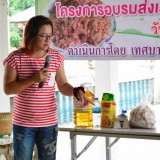 โครงการส่งเสริมอาชีพทำหมูหยองและหมูกระจก