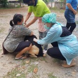 กิจกรรมรณรงค์ฉีดวัคซีนป้องกันโรคพิษสุนัขบ้า ตามโครงการสัตว์ปลอดโรค คนปลอดภัยจากโรคพิษสุนัขบ้า