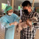 กิจกรรมรณรงค์ฉีดวัคซีนป้องกันโรคพิษสุนัขบ้า ตามโครงการสัตว์ปลอดโรค คนปลอดภัยจากโรคพิษสุนัขบ้า