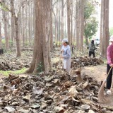 กิจกรรมวันท้องถิ่นไทย ประจำปี ๒๕๖๙ 