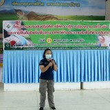กิจกรรมอบรมให้ความรู้ตามโครงการอบรมเชิงปฏิบัติการให้ความรู้การปฐมพยาบาลเบื้องต้นและการฟื้นคืนชีพขั้นพื้นฐาน CPR ให้กับประชาชนในพื้นที่ตำบลสันทราย ประจำปีงบประมาณ พ.ศ. ๒๕๖๕