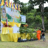 ร่วมกิจกรรมจิตอาสาปลูกป่าเฉลิมพระเกียรติ เนื่องในโอกาสวันเฉลิมพระชนมพรรษา พระบาทสมเด็จพระปรเมนทรรามาธิบดีศรีสินทรมหาวชิราลงกรณมหิศรภูมิพลราชวรางกูร กิติสิริสมบูรณอดุลยเดช สยามินทราธิเบศราชวโรดมบรมนาถบพิตร พระวชิรเกล้าเจ้าอยู่หัว ๒๘ กรกฎาคม ๒๕๖๖
