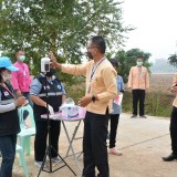เข้าร่วมวันดินโลก