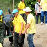  ร่วมโครงการและกิจกรรมเฉลิมพระเกียรติเนื่องในโอกาสมหามงคลพระราชพิธีบรมราชาภิเษก โครงการสืบชะตาสายน้ำมาวฟื้นฟูและพัฒนาลำน้ำ คูคลอง เพื่อสิ่งแวดล้อมและคุณภาพชีวิตประชาชน "กิจกรรมสืบชะตาสายน้ำ และพัฒนา ลำน้ำมาว" 