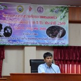 โครงการส่งเสริมศักยภาพครอบครัวลดความรุนแรงในเด็กเล็ก