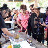 โครงการส่งเสริมอาชีพกลุ่มสตรีแม่บ้านตำบลสันทราย 