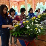 โครงการสานฝัน สานรัก สร้างอาชีพ ครอบครัวเข้มแข็ง