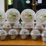 ผลิตภัณ์แปรรูปจากขิง