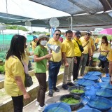 โครงการฝึกอบรมและศึกษาดูงานเพื่อพัฒนาศักยภาพการปฏิบัติงานของคณะผู้บริหาร สมาชิกสภาเทศบาล ผู้นำชุมชน และพนักงานส่วนท้องถิ่น  ประจำปีงบประมาณ พ.ศ.๒๕๖๗