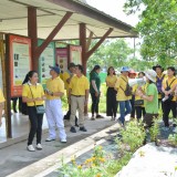 โครงการฝึกอบรมและศึกษาดูงานเพื่อพัฒนาศักยภาพการปฏิบัติงานของคณะผู้บริหาร สมาชิกสภาเทศบาล ผู้นำชุมชน และพนักงานส่วนท้องถิ่น  ประจำปีงบประมาณ พ.ศ.๒๕๖๗