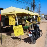 ปรับปรุงภูมิทัศน์ และจัดระเบียบป้ายข้างทางถนนสายหลักและสายรอง