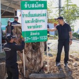 ปรับปรุงภูมิทัศน์ และจัดระเบียบป้ายข้างทางถนนสายหลักและสายรอง