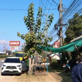 ปรับปรุงภูมิทัศน์ และจัดระเบียบป้ายข้างทางถนนสายหลักและสายรอง