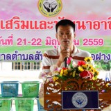โครงการส่งเสริมและพัฒนาอาชีพผู้พิการตำบลสันทราย 