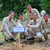 โครงการปลูกต้นไม้ 12 สิงหา มหาราชินี รักน้ำ รักป่า รักษาแผ่นดิน