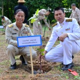 โครงการปลูกต้นไม้ 12 สิงหา มหาราชินี รักน้ำ รักป่า รักษาแผ่นดิน