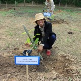 โครงการปลูกต้นไม้ 12 สิงหา มหาราชินี รักน้ำ รักป่า รักษาแผ่นดิน