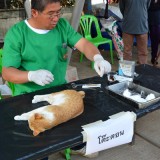โครงการรณรงค์ป้องกันโรคพิษสุนัขบ้าและคุมกำเนิดประจำปี 2557