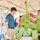 โครงการงานวันเกษตรและของดีตำบลสันทราย ประจำปี พ.ศ.๒๕๖๗