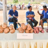 โครงการงานวันเกษตรและของดีตำบลสันทราย ประจำปี พ.ศ.๒๕๖๗