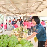 โครงการงานวันเกษตรและของดีตำบลสันทราย ประจำปี พ.ศ.๒๕๖๗
