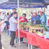 โครงการงานวันเกษตรและของดีตำบลสันทราย ประจำปี พ.ศ.๒๕๖๗