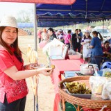 โครงการงานวันเกษตรและของดีตำบลสันทราย ประจำปี พ.ศ.๒๕๖๗