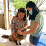 ให้บริการฉีดวัคซีนป้องกันโรคพิษสุนัขบ้าในพื้นที่เขตรับผิดชอบเทศบาลตำบลสันทราย