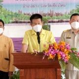 โครงการสตรีไทยใส่ใจสุขภาพ ปลูกพืชผัก สมุนไพร เพื่อสร้างความมั่นคงทางอาหาร ตามหลักปรัชญาของเศรษฐกิจพอเพียง