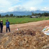 โครงการส่งเสริมการทำปุ๋ยหมักจากเศษพืชและน้ำหมักชีวภาพ