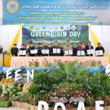 การจัดเวทีรณรงค์ “Green Gain Day”