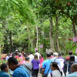 โครงการฝึกอบรมและศึกษาดูงานเพื่อพัฒนาศักยภาพในการปฏิบัติงานของคณะผู้บริหาร สมาชิกสภาเทศบาล ผู้นำชุมชน และพนักงานส่วนท้องถิ่น ประจำปีงบประมาณ พ.ศ. ๒๕๖๖ ระหว่างวันที่ ๑๒-๑๖ มิถุนายน ๒๕๖๖ กิจกรรมที่ ๒ การศึกษาดูงาน