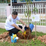 โครงการอนุรักษ์พันธุกรรมพืชอันเนื่องมาจากพระราชดำริสมเด็จพระเทพรัตนราชสุดาฯ สยามบรมราชกุมารี : อพ.สธ.